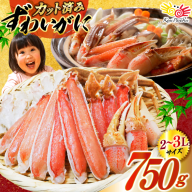 カット済 生 ずわいがに むき身 セット 総重量 750g (正味重量600g) 2-3Lサイズ [カネダイ 宮城県 気仙沼市 20565652] かに カニ ズワイガニ ずわい ズワイ 蟹 棒肉 ポーション かに鍋 かにしゃぶ 生ずわい