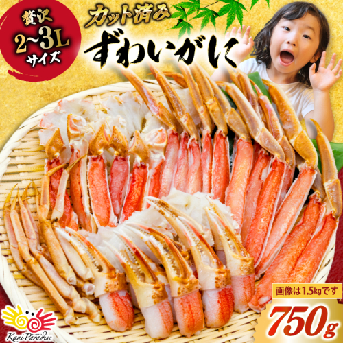 カット済 生 ずわいがに むき身 セット 総重量 750g (正味重量600g) 2-3Lサイズ [カネダイ 宮城県 気仙沼市 20565652] かに カニ ズワイガニ ずわい ズワイ 蟹 棒肉 ポーション かに鍋 かにしゃぶ 生ずわい 2267429 - 宮城県気仙沼市