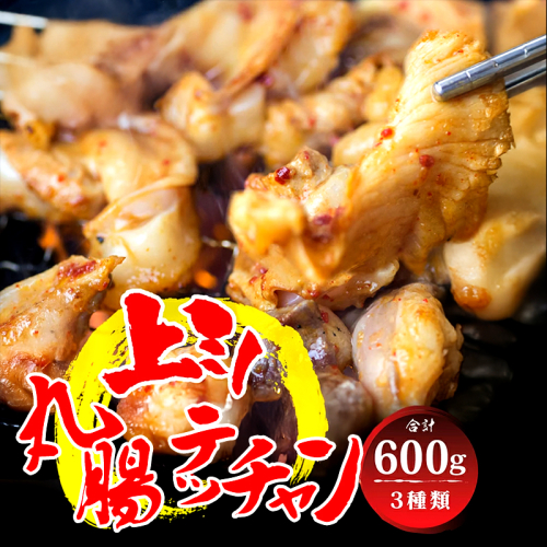 国産 黒毛和牛 ボリューム満点 欲張りセット マルチョウ / 上ミノ / テッチャン 各200g 600g 附属タレ付き | ミックス ホルモン 食べ比べ もつ鍋 冷蔵 中元 ギフト お祝い 2267502 - 京都府舞鶴市