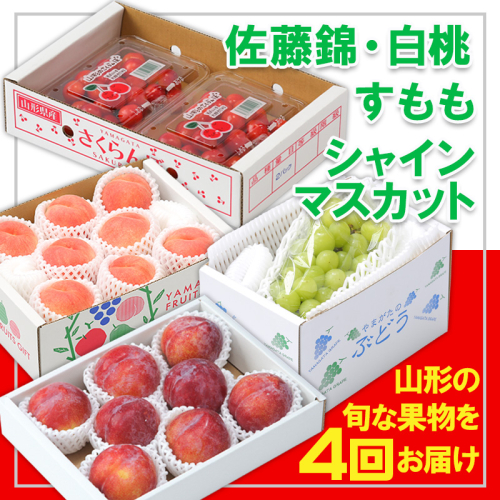【定期便4回】☆フルーツ王国山形☆『佐藤錦、白桃、すもも、シャインマスカット』 FY25-311 2267503 - 山形県山形市