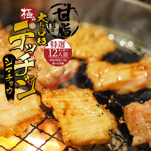 極み シマチョウ テッチャン 400g/800g/1.2kg 附属タレ付き | 牛肉 ホルモン 味付き肉 タレ揉み 冷蔵 甘脂付き 焼肉 もつ鍋 中元 ギフト お祝い 2267542 - 京都府舞鶴市