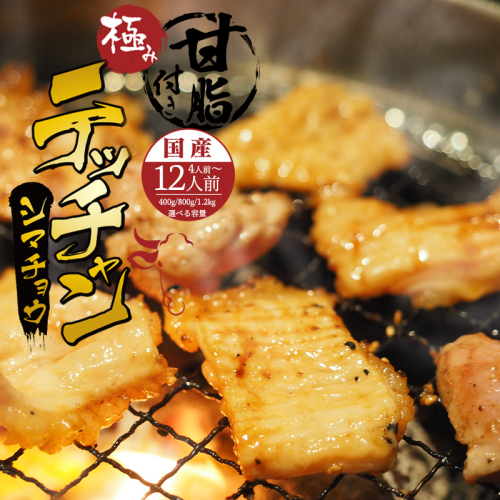 国産 黒牛 極み シマチョウ テッチャン 400g/800g/1.2kg 附属タレ付き | タレ揉み 冷蔵 甘脂付き 焼肉 もつ鍋 中元 ギフト お祝い 2267542 - 京都府舞鶴市