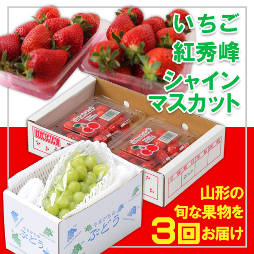 【定期便3回】☆フルーツ王国山形☆『いちご、紅秀峰、シャインマスカット』 FZ26-817 2267560 - 山形県山形市