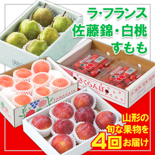 【定期便4回】☆フルーツ王国山形☆『佐藤錦、白桃、すもも、ラ・フランス』 FY25-318 2267562 - 山形県山形市