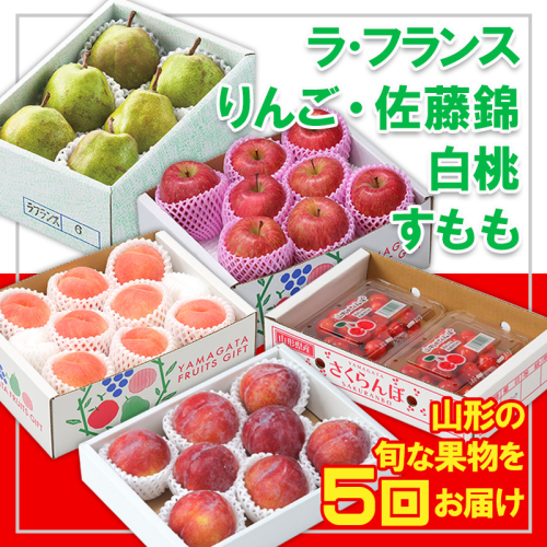 【定期便5回】☆フルーツ王国山形☆『佐藤錦、白桃、すもも、ラ・フランス、りんご』 FY25-321 2267598 - 山形県山形市