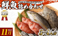 旬の朝獲れ鮮魚詰め合わせ 【2025年11月配送】 鮮魚 直送 ボックス 詰め合わせ【以布利定置網　漁師直送】セット おまかせ 魚介 海鮮 魚 魚介類 海鮮セット 新鮮 天然【S00818-11】