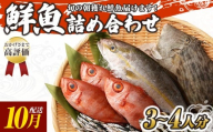 旬の朝獲れ鮮魚詰め合わせ 【2025年10月配送】 鮮魚 直送 ボックス 詰め合わせ【以布利定置網　漁師直送】セット おまかせ 魚介 海鮮 魚 魚介類 海鮮セット 新鮮 天然【S00818-10】