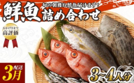 旬の朝獲れ鮮魚詰め合わせ 【2026年3月配送】 鮮魚 直送 ボックス 詰め合わせ【以布利定置網　漁師直送】セット おまかせ 魚介 海鮮 魚 魚介類 海鮮セット 新鮮 天然【S00818-3】