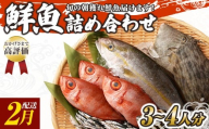 旬の朝獲れ鮮魚詰め合わせ 【2026年2月配送】鮮魚 直送 ボックス 詰め合わせ【以布利定置網　漁師直送】セット おまかせ 魚介 海鮮 魚 魚介類 海鮮セット 新鮮 天然【S00818-2】