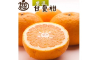 厳選 甘夏柑 2.5kg+250g（傷み補償分）【初夏のみかん・旬の果物】【有田産】【光センサー食べ頃出荷】 ［IKE279］