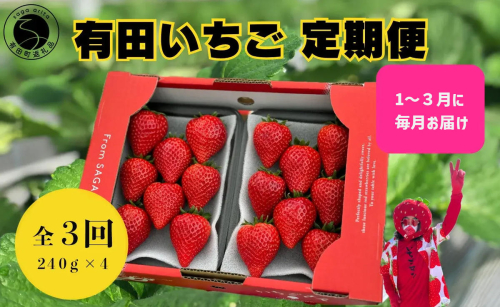 ＜予約受付＞【3回定期便】有田いちご 朝摘み完熟いちご4パックを毎月お届け！ (1月～3月の全3回) 240g×4パック【みゆきファーム】有機肥料にこだわった美味しいいちごです いちごさん F35-15
 2267957 - 佐賀県有田町
