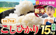 【6ヶ月定期便】令和7年産 新米 白米 こしひかり 15kg《お申込みの翌月出荷》熊本県産 ふるさと納税 白米 精米 ひの 米 こめ ふるさとのうぜい コシヒカリ コメ お米 おこめ
