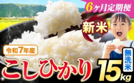 【6ヶ月定期便】令和7年産 新米 無洗米 こしひかり 15kg《お申込みの翌月出荷》熊本県産 ふるさと納税 無洗米 精米 ひの 米 こめ ふるさとのうぜい コシヒカリ コメ お米 おこめ
