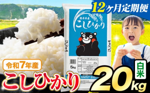 【12ヶ月定期便】令和7年産  白米 こしひかり 20kg(5kg×4袋)《お申込み翌月から出荷》熊本県産 ふるさと納税 白米 精米 米 こめ ふるさとのうぜい コシヒカリ コメ お米 おこめ 2267986 - 熊本県苓北町