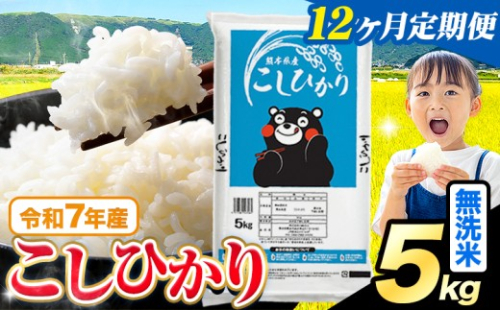 【12ヶ月定期便】令和7年産  無洗米 こしひかり 5kg《お申込みの翌月出荷》熊本県産 ふるさと納税 無洗米 精米 米 こめ ふるさとのうぜい コシヒカリ コメ お米 おこめ 2267987 - 熊本県苓北町
