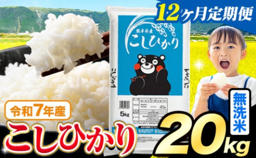 【12ヶ月定期便】令和7年産  無洗米 こしひかり 20kg(5kg×4袋)《お申込みの翌月出荷》熊本県産 ふるさと納税 無洗米 精米 米 こめ ふるさとのうぜい コシヒカリ コメ お米 おこめ 2267990 - 熊本県苓北町