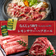 なんじょう和牛(しゃぶしゃぶすきやき)&レモンサワー・ハブボール BG102 I なんじょう和牛 しゃぶしゃぶ すきやき 和牛 和牛セット 酒セット レモンサワー ハブボール お肉お酒セット ギフト 沖縄県 南城市 ふるさと納税 南城市地域物産館