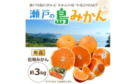 【先行予約】 瀬戸内海の島みかん (秀品・ギフトBOX入)【石地みかん】約3kg | 柑橘 みかん 密柑 オレンジ フルーツ 果物【2026年1月頃発送予定】 愛媛県 松山市 ココオ Koko'o