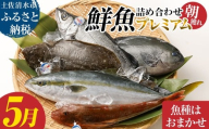 旬の朝獲れ鮮魚詰め合わせ（プレミアム） 【2026年5月配送】 鮮魚 ボックス 詰め合わせ【以布利定置網　漁師直送】朝獲れ 旬 魚介 海鮮 魚 さかな せんぎょ 鮮魚セット おまかせ お任せ【S00819-5】