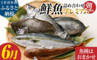 旬の朝獲れ鮮魚詰め合わせ（プレミアム）【2026年6月配送】 鮮魚 ボックス 詰め合わせ【以布利定置網　漁師直送】朝獲れ 旬 魚介 海鮮 魚 さかな せんぎょ 鮮魚セット おまかせ お任せ【S00819-6】