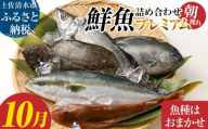 旬の朝獲れ鮮魚詰め合わせ（プレミアム）【2025年10月配送】 鮮魚 ボックス 詰め合わせ【以布利定置網　漁師直送】朝獲れ 旬 魚介 海鮮 魚 さかな せんぎょ 鮮魚セット おまかせ お任せ【S00819-10】