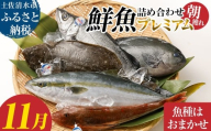 旬の朝獲れ鮮魚詰め合わせ（プレミアム）【2025年11月配送】 鮮魚 ボックス 詰め合わせ【以布利定置網　漁師直送】朝獲れ 旬 魚介 海鮮 魚 さかな せんぎょ 鮮魚セット おまかせ お任せ【S00819-11】