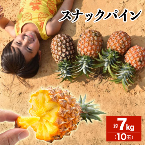2026年 先行予約 スナックパイン 約7kg 10玉 西表島ひらい農園 パイナップル 果物 フルーツ パイン 027-a011_2026 2268249 - 沖縄県竹富町