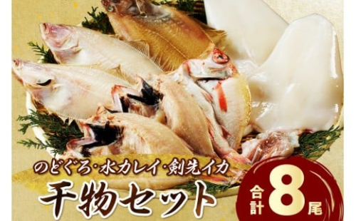 山陰浜田港水揚げされた人気干物セット 【025_0428】 2268614 - 島根県浜田市