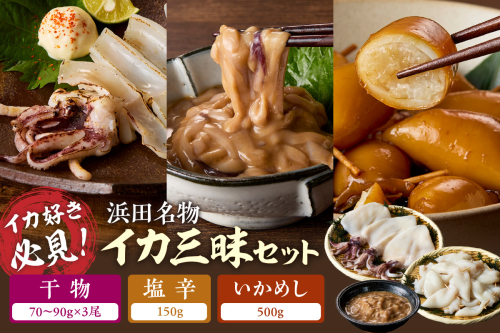【イカ好き必見！】浜田名物イカ三昧セット（干物・塩辛・いかめし） 【025_0439】 2268618 - 島根県浜田市