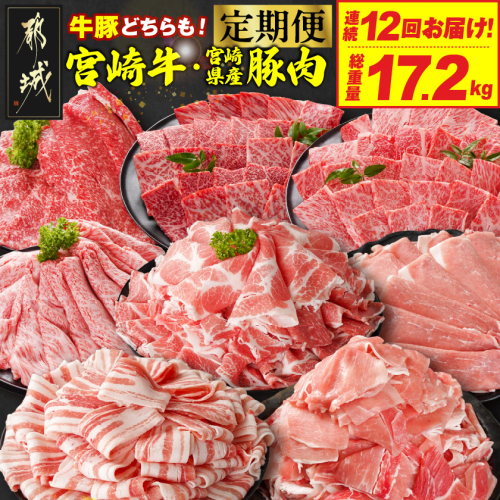 ≪12回連続お届け≫とにかくお肉大好き!宮崎牛と宮崎県産豚定期便M(総重量17.2kg)_T192-12-N202 2268629 - 宮崎県都城市