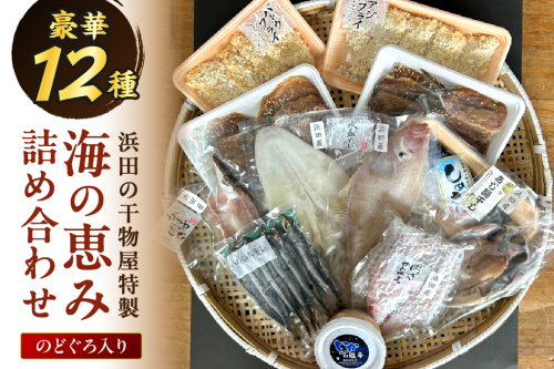 【豪華12種】浜田の干物屋特製・海の恵み詰め合わせセット（のどぐろ入り） 【025_0442】 2268702 - 島根県浜田市