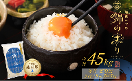 令和7年産 魚沼産コシヒカリ 定期便 小千谷市ブランド認証米「錦の実り」Aランク 精米45kg (5kg×毎月全9回) | 新潟県産コシヒカリ お米 米 こしひかり 魚沼産 ブランド米【0002-OBa06DB00-01】
