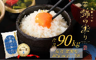 令和7年産 魚沼産コシヒカリ 定期便 小千谷市ブランド認証米「錦の実り」Aランク 精米90kg (5kg×2袋×毎月全9回) | 新潟県産コシヒカリ お米 米 こしひかり 魚沼産 ブランド米【0002-OBa10DB00-01】
