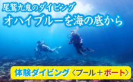 オハイブルー、350種の美しい ウミウシ が魅力【 体験ダイビング プール ＋ ボート】ワイド や ソフトコーラル も 人気 三重県 尾鷲市 九鬼 の ダイビング 通年 オールシーズン　DI-11