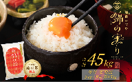 令和7年産 魚沼産コシヒカリ 定期便 小千谷市ブランド認証米「錦の実り」特Aランク 精米45kg (5kg×毎月全9回) | 新潟県産コシヒカリ お米 米 こしひかり 魚沼産 ブランド米【0002-OBt06DB00-01】