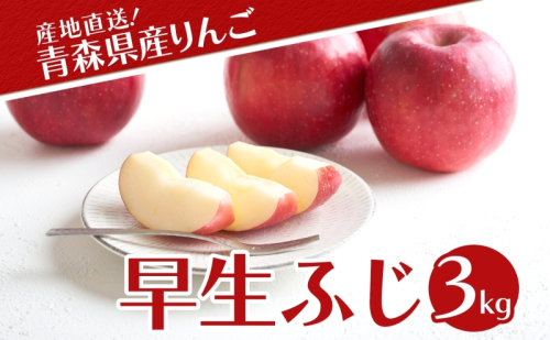 青森県産 りんご 早生ふじ 3kg 青森 リンゴ 林檎 早生 ふじ 果汁 果物 フルーツ アップル 新鮮 おやつ デザート プレゼント 贈り物 お取り寄せ 常温 送料無料 青森県 西目屋村 2269128 - 青森県西目屋村