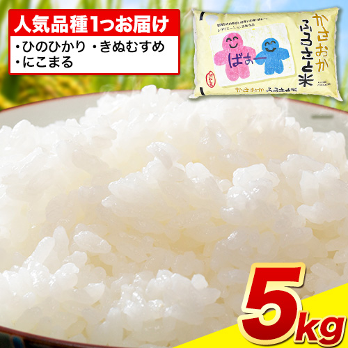 【発送時期が選べる】【先行予約】米 令和7年産 5kg ふるさと米 備中笠岡 人気品種をお届け！ 国産 ヒノヒカリ にこまる きぬむすめ お米 ブランド米 ふっくら ハリ おにぎり 弁当 発送時期が選べる 単一原料米 検査済み お取り寄せ 送料無料 岡山県産 2269129 - 岡山県笠岡市