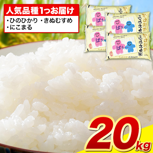 【発送時期が選べる】【先行予約】米 令和7年産 20kg ふるさと米 備中笠岡 人気品種をお届け！ 国産 ヒノヒカリ にこまる きぬむすめ お米 ブランド米 ふっくら ハリ おにぎり 弁当 発送時期が選べる 単一原料米 検査済み お取り寄せ 送料無料 岡山県産 2269130 - 岡山県笠岡市