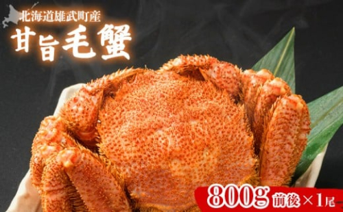 【北海道雄武町産】やわらか殻の甘旨毛蟹 800g前後1尾 | 毛ガニ カニ かに 蟹 殻付き 浜茹で ジューシー 海産物 海鮮 冷蔵 鮮度直送 柔らかい 食べやすい 蟹料理 ギフト おすすめ 贈答用 鮮魚 食材 海の幸 お取り寄せ 北海道 雄武町 雄武【07180】