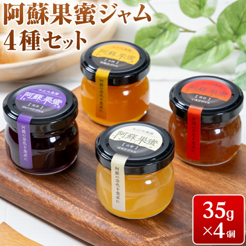 阿蘇果蜜ジャム4種セット 35g×4本 木之内農園 ジャム《30日以内に出荷予定(土日祝を除く)》 熊本県南阿蘇村 ジャム いちご ブルーベリー はるか 不知火 苺 大粒 乗せるジャム 2269674 - 熊本県南阿蘇村