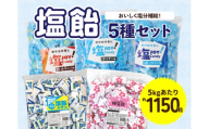 夏季限定 塩飴 5種 セット 計5kg 約1150粒 しおあめ 飴 キャンディ 熱中症 熱中症対策 塩分補給 大容量 小分け 個包装 業務用 レモン味 梅味 サイダー味 エナジードリンク味 スポーツドリンク味 飴 塩飴 塩分チャージ 塩分補給 塩分 熱中症 熱中症対策 個包装 小分け 塩分補給 塩分 熱中症 熱中症対策 個包装 栄光堂 栄光堂ファクトリー 27000円 2万7千円 岐阜県 大垣市