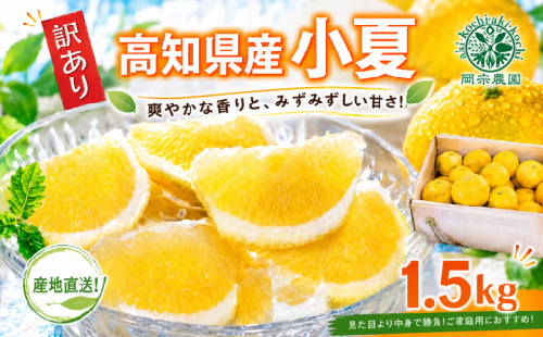 【先行予約】【令和9年産】 小夏 約 1.5kg フルーツ 果物 みかん 柑橘 旬 ギフト プレゼント 贈答用 先行予約 柑橘類 こなつ 日向夏 ニューサマーオレンジ デザート スイーツ ジューシー 甘酸っぱい 甘皮 初夏 爽やか 高知特産 季節限定 家庭用 自宅用 お取り寄せ 特産品 国産 6～11玉 メリーガーデン 高知県産 安芸市 高知県