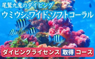 350種の美しい ウミウシ 多様な生態系が魅力【ダイビングライセンス取得コース(3日間)】 ワイド やソフトコーラル も 人気 三重県 尾鷲市 九鬼 の ダイビング 通年 オールシーズン   DI-15