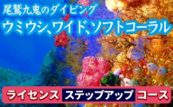 350種の美しい ウミウシ 多様な生態系が魅力  【ライセンス ステップアップコース(2日間)】 ワイド やソフトコーラル も 人気 三重県 尾鷲市 九鬼 の ダイビング 通年 オールシーズン  DI-16
