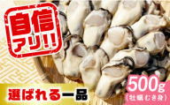 【11月上旬以降順次発送】特選 牡蠣三昧！【生牡蠣】広島牡蠣 むき身 500g (加熱用) 人気 かき 広島 料理 簡単 レシピ 海鮮 ギフト 広島県産 江田島市/株式会社門林水産 [XAO024] 牡蠣 むき身 殻付き 殻付 殻 かき カキ 生牡蠣 広島牡蠣 オイスター カキフライ 魚介類 魚介 貝類 海鮮 広島県産 国産 産地直送 贈答 ギフト 特産品