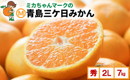 ミカちゃんマークのマルエム青島三ヶ日みかん 秀 2L 7kg（約40個）みかん ミカン フルーツ 果物 浜松市 2270589 - 静岡県浜松市