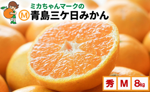 ミカちゃんマークのマルエム青島三ヶ日みかん 秀 M 8kg（約72個） みかん ミカン フルーツ 果物 浜松市 2270591 - 静岡県浜松市