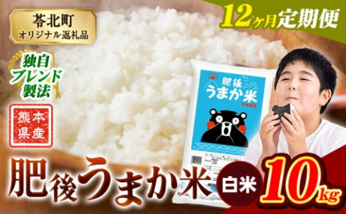 【12か月定期便】米 白米 熊本県産 肥後うまか米 10kg(5kg×2袋) 精米 こめ  コメ お米 おこめ ブレンド米《申込月の翌月から出荷開始》熊本県産  コメ お米 おこめ 2270608 - 熊本県苓北町