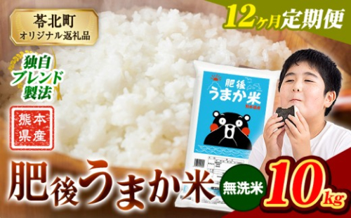 【12か月定期便】米 無洗米 熊本県産 肥後うまか米 10kg(5kg×2袋) 精米 こめ  コメ お米 おこめ ブレンド米《申込月の翌月から出荷開始》熊本県産  コメ お米 おこめ 2270609 - 熊本県苓北町