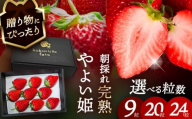 【先行予約】 ＼毎年12月より順次発送／ やよい姫 9粒 いちご フルーツ 果物 愛西市 / くぼ苺農園 【配達不可：北海道・沖縄・離島】 [AECJ012]